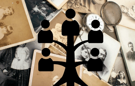 Mejores Apps para Crear Tu Árbol Genealógico