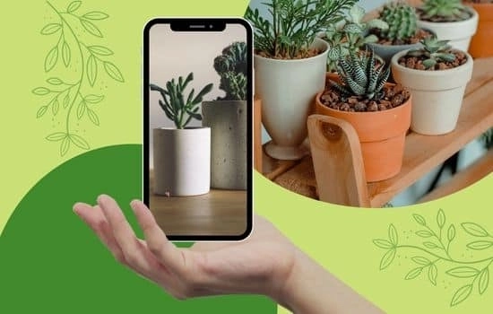 Aventuras botánicas con tu celular