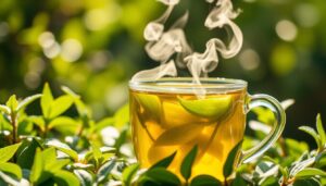 té energizante natural